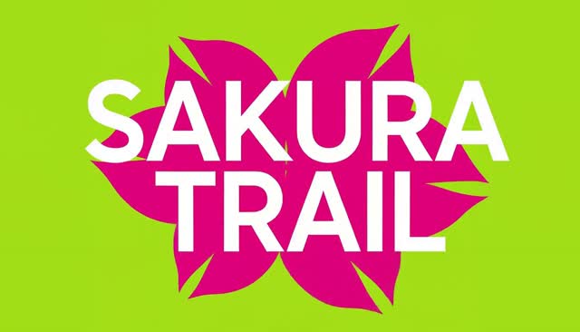 77 SAKURA TRAIL : d’une traînée à des pétales de cerisier